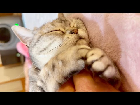 あいちゃん、至福の時。