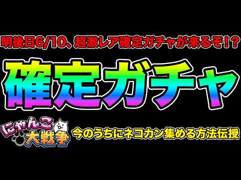 明後日に超激レア確定ガチャが来るぞ！？超激レア確定ガチャが来る前にネコカンを集める方法を伝授！？ついにあのキャラが第３… サムネイル