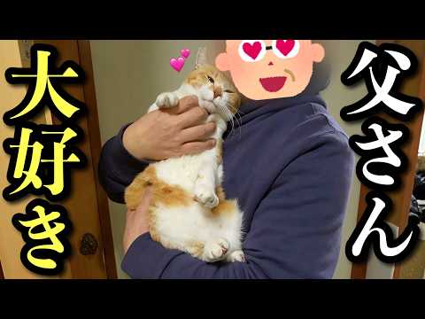 【母出張】急いで帰ったら父と仲良しになってました サムネイル