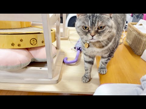 一足遅かったポッポママ。 サムネイル