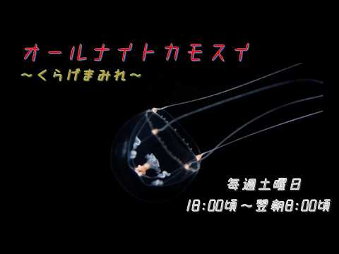 オールナイトカモスイ　～くらげまみれ～ 241　クロメクラゲ サムネイル