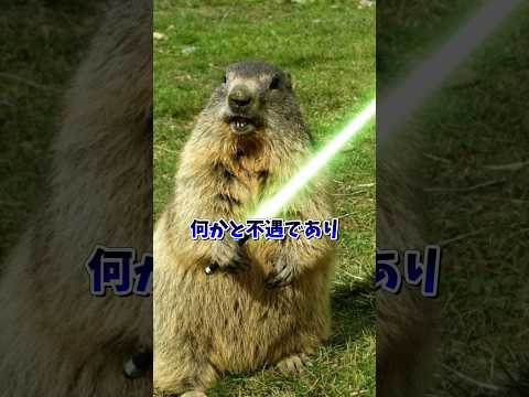 おっさん転生したらマーモットだった件 サムネイル