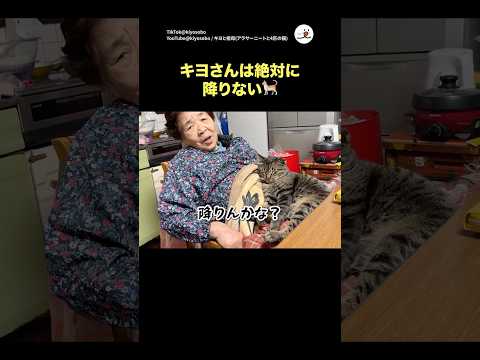 絶対に降りないキヨさん🐈｜PECO