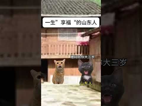 一生”享福“的山东人有趣 猫meme 猫meme剧场 猫meme小剧场 内容过于真实  故事 貓 猫猫meme小剧场… サムネイル