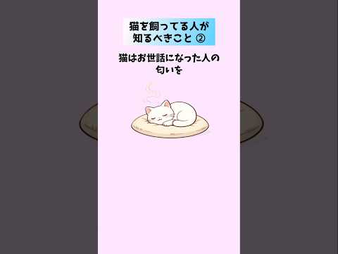 猫を飼っている人が知るべきこと【10選②】 猫 雑学 豆知識 トリビア 音声「VOICEVOX:ずんだもん」さん サムネイル