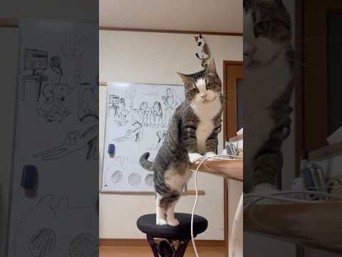 乗ったらアカンで サムネイル