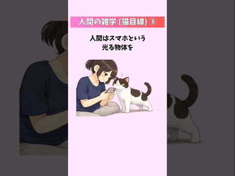 猫から見た人間が愛おしすぎた件【人間の雑学(猫目線)⑤】  猫 雑学 豆知識 トリビア 音声「VOICEVOX:ずんだ… サムネイル