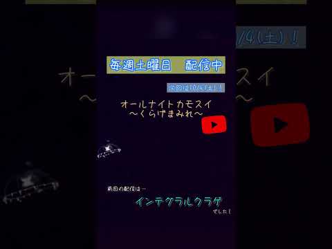 第220回 オールナイトカモスイ〜くらげまみれ〜 インテグラルクラゲ shorts サムネイル