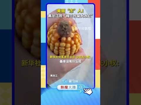 【大陸】美麗「凍」人！黑龍江現「梅蘭竹菊大冰缸」 サムネイル