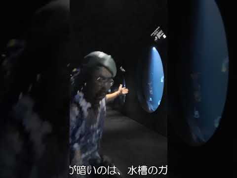 新生　加茂水族館のここがすごいよ！その⑤ 水族館 加茂水族館 aquarium Dr.クラゲさん