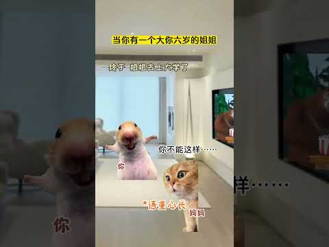 当你有一个大你几岁的姐姐 有趣 猫meme 猫meme剧场 猫meme小剧场 内容过于真实  故事 貓 猫猫meme小… サムネイル