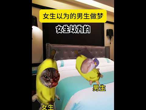 女生以为的男生做梦vs现实男生做梦 有趣 猫meme 猫meme剧场 猫meme小剧场 内容过于真实  故事 貓 猫猫… サムネイル