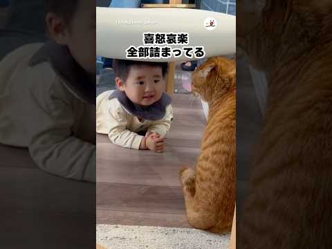 仲良くなりたかっただけなのに…｜PECO サムネイル