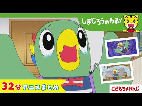 【32分アニメ】とりっぴいは立派なお兄ちゃん（おにいちゃんは つらいな　他）│しまじろうのわお！アニメ│しまじろうチャ… サムネイル