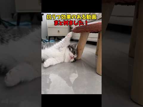 ※あくまで個人の感想です