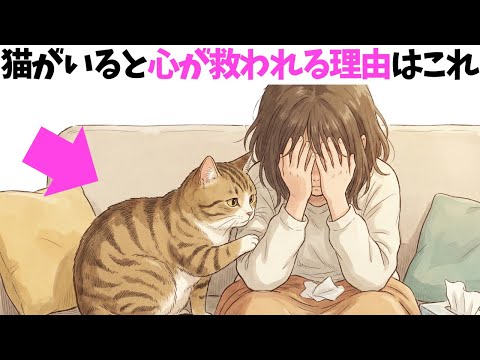 【猫と一緒にいると心が救われる理由】猫の雑学 サムネイル
