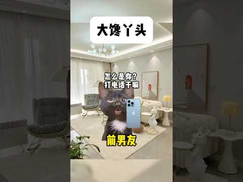 愛らしい猫たちの神回！最新meme劇場で癒される サムネイル