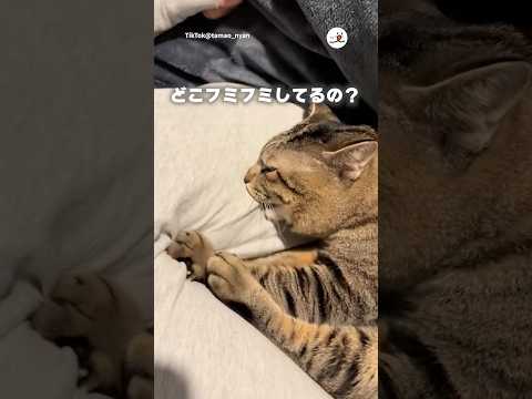 フミフミしてる場所っっ！！｜PECO