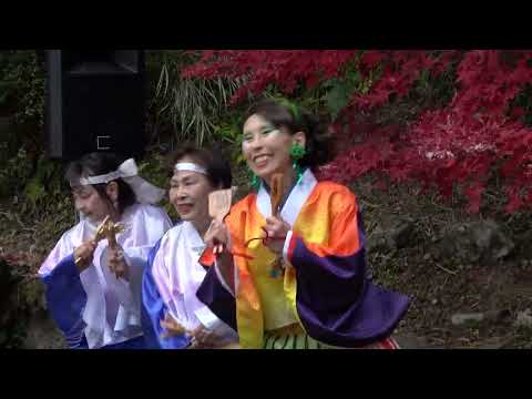 話題沸騰！2025年東郷公園でもみじまつりで楽しむ「コバトンよさこい」総踊り