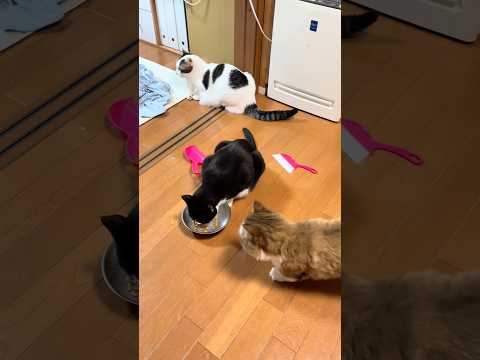 まだ奥さんが食ってるでしょうが!