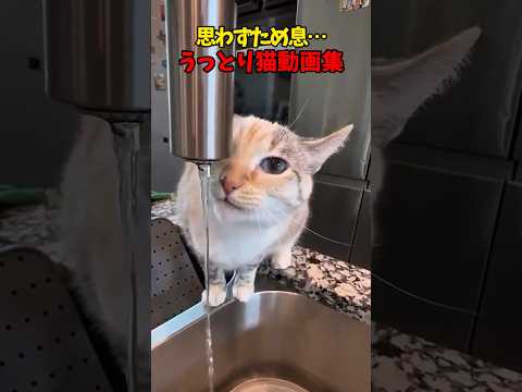 ぬはぁ〜♥😮‍💨 サムネイル