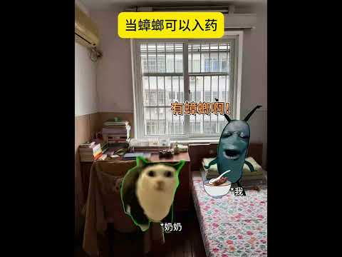 奶奶的爱：煲药加点大自然精华  有趣 猫meme 猫meme剧场 猫meme小剧场 内容过于真实  故事 貓 猫猫me… サムネイル