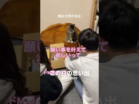 2021年の次男と球太と彼女cats shorts 球太 サムネイル