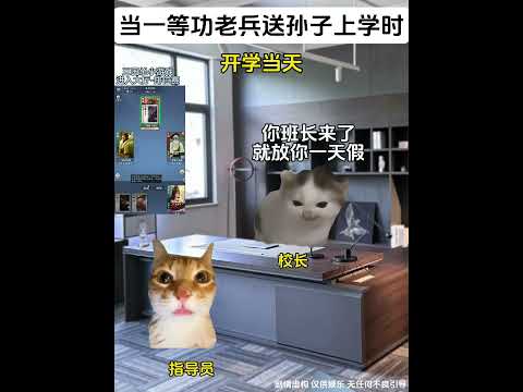 当一等功老兵送孙子上学时 有趣 猫meme 猫meme剧场 猫meme小剧场 内容过于真实 故事 貓 猫猫meme小…
