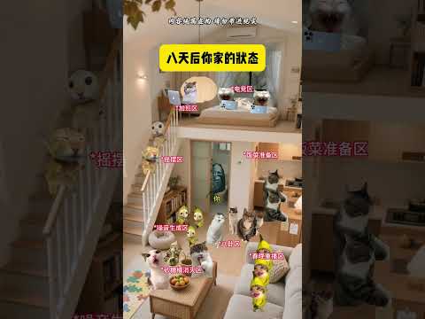 有趣 猫meme 猫meme剧场 猫meme小剧场 内容过于真实  故事 貓 猫猫meme小剧场 喵不可言 サムネイル