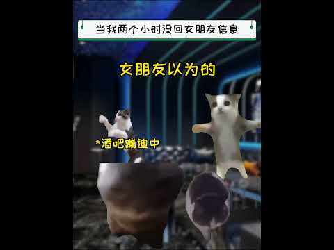 当我两个小时没回女朋友信息 有趣 猫meme 猫meme剧场 猫meme小剧场 内容过于真实  故事 貓 猫猫meme… サムネイル