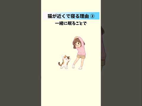 【猫の心理】一緒に寝る場所でわかる「あなたへの信頼度」と本音② 猫 雑学 豆知識 トリビア 猫の心理 音声「VOICE…
