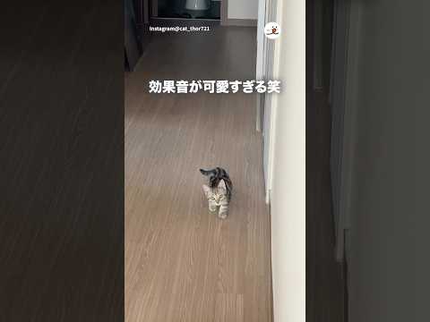 主さんの効果音可愛い😍｜PECO サムネイル