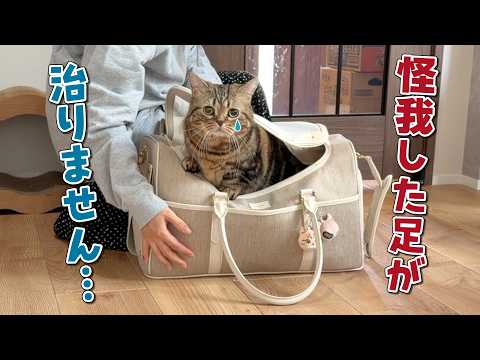 怪我がなかなか治らないので再度病院に行きました…