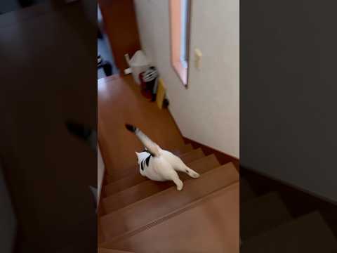 ムチムチのおちり サムネイル