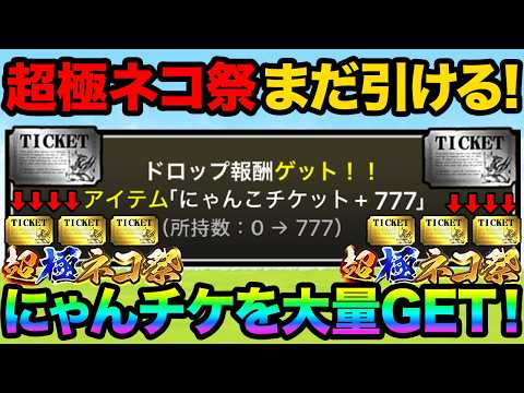【必見】無料で超極ネコ祭を引く方法を教えます！にゃんこチケットを200枚以上GETして大量のレアチケットを手に入れる方… サムネイル