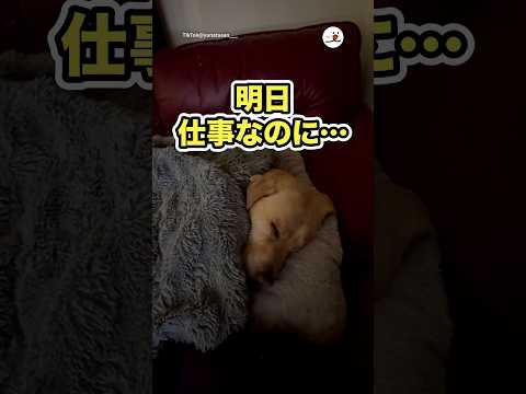 運転して疲弊した主さんを待ち受けていた現実がこれw|PECO