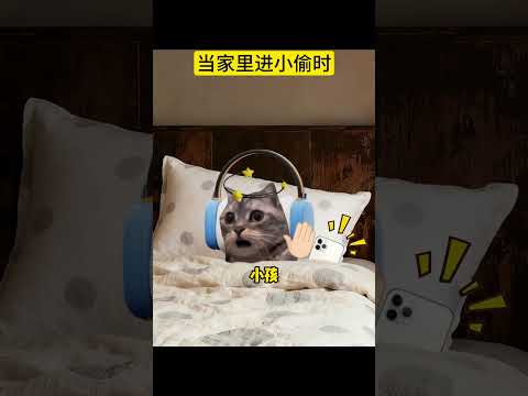 当家里进小偷时...有趣 猫meme 猫meme剧场 猫meme小剧场 内容过于真实  故事 貓 猫猫meme小剧场… サムネイル