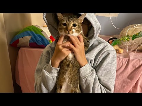 Mission Fail サムネイル