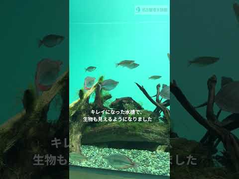 「休館日の一コマ」～Part1~ #shots #名古屋港水族館 サムネイル