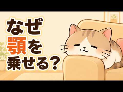 【実は奥が深い】猫が手にあごを乗せてくる“本当の理由”に涙が止まらない… 猫 雑学 豆知識