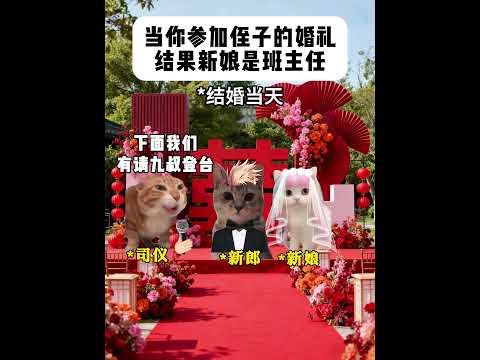 当你参加侄子的婚礼结果新娘是班主任 有趣 猫meme 猫meme剧场 猫meme小剧场 内容过于真实 故事 貓 猫猫…