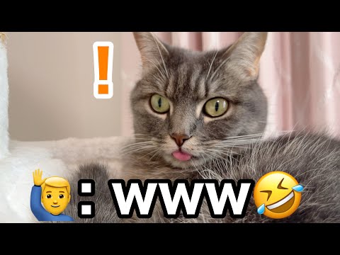 突然の物音でうっかり舌が出ちゃいました… サムネイル