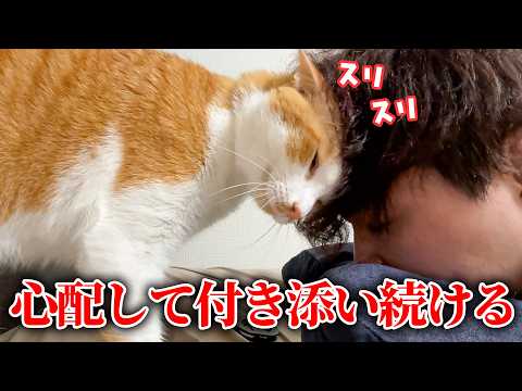 飼い主の異常事態を心配して、付き添い続ける猫がいました。 サムネイル