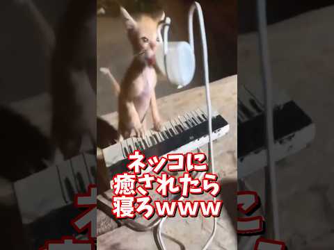 2026年1月8日 サムネイル