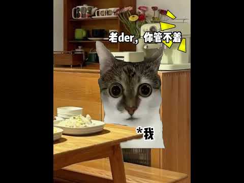 来自家族嫡长子的压迫感 有趣 猫meme 猫meme剧场 猫meme小剧场 内容过于真实  故事 貓 猫猫meme小剧…