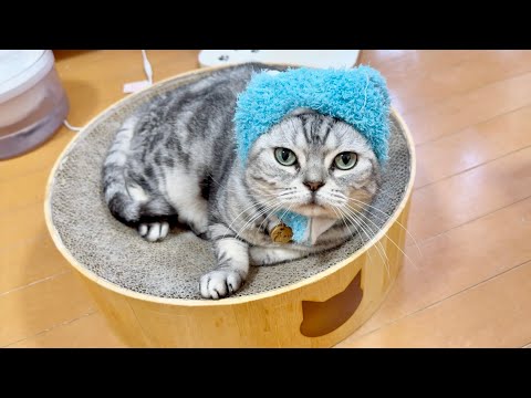 みゅうちゃんと遊ぶあいちゃん。 サムネイル