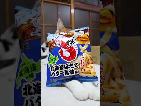 かっぱえびせん 北海道ほたてバター醤油味　260517　 cat のせ猫 cute　 ネコ ねこ かっぱえびせん　 猫… サムネイル