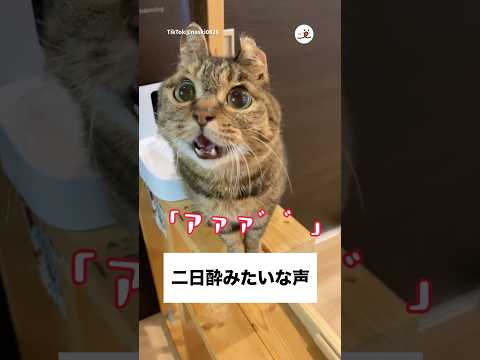 あ”あ”あ”…｜PECO サムネイル