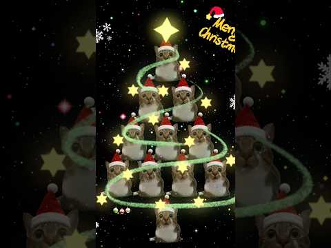 Merry Christmas 🎄🎁 サムネイル