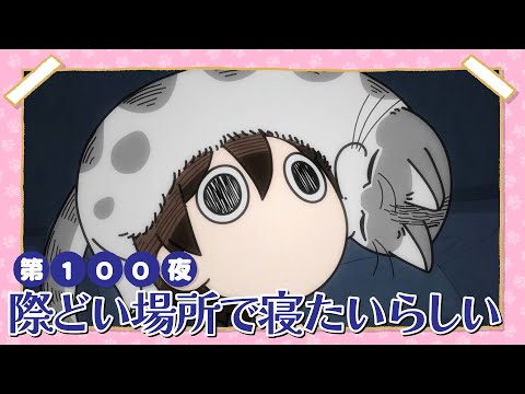 話題沸騰！アニメ『夜は猫といっしょ』第100夜の神回はフータとキュルガの初対面